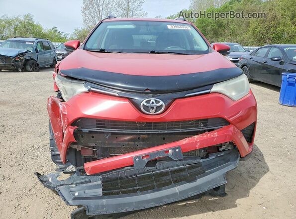 2T3ZFREV8GW254530 2016 TOYOTA RAV4 Красный Вид спереди