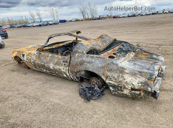 2W8727M217857 1977 PONTIAC TRANS Пожар Задняя левая четверть