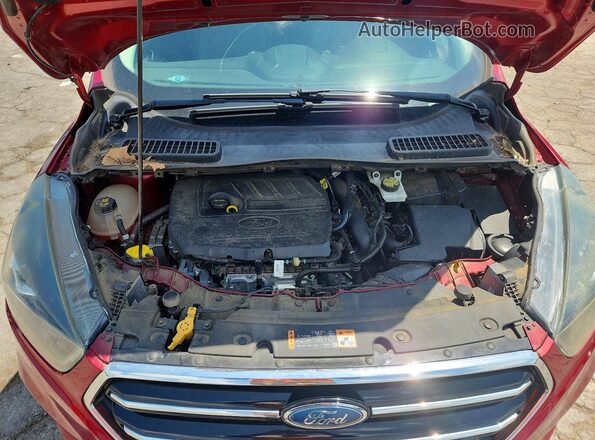 1FMCU0GD2HUC59762 2017 FORD ESCAPE Red VIN sticker view