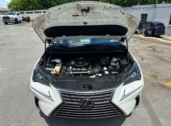 JTJBARBZ4K2179699 2019 LEXUS NX White Widok tylnych siedzeń