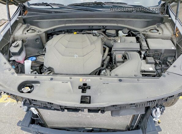 5XYP6DGCXSG693032 2025 KIA TELLURIDE Green Вид наклейки з VIN-кодом