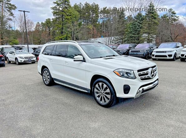 4JGDF6EE6KB226666 2019 MERCEDES-BENZ GLS-CLASS White Tył lewy
