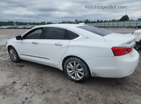 1G11Z5S35KU102445 2019 CHEVROLET IMPALA Белый Задняя правая четверть