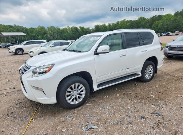 JTJBM7FX7G5149087 2016 LEXUS GX White Rear left