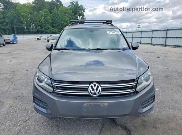 WVGBV7AX5GW602300 2016 VOLKSWAGEN TIGUAN Charcoal Вид ззаду