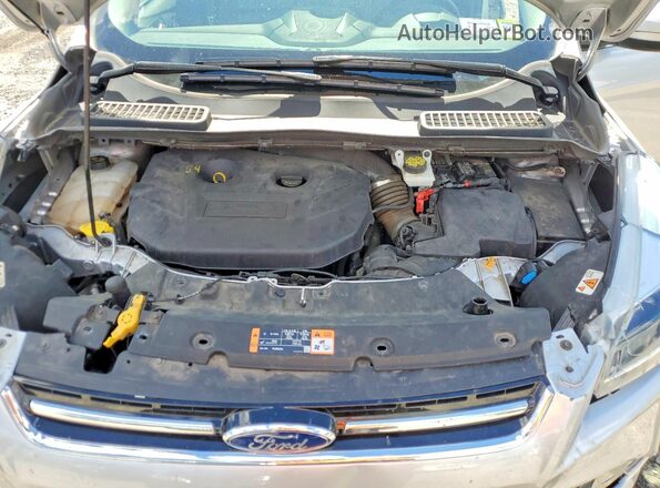 1FMCU9J91GUA00669 2016 FORD ESCAPE Silver VIN կոդի պիտակի տեսք