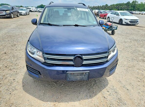 WVGAV7AX3GW600699 2016 VOLKSWAGEN TIGUAN Blue Widok z tyłu