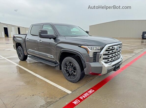 5TFMA5DB6RX134104 2024 TOYOTA TUNDRA Gray 