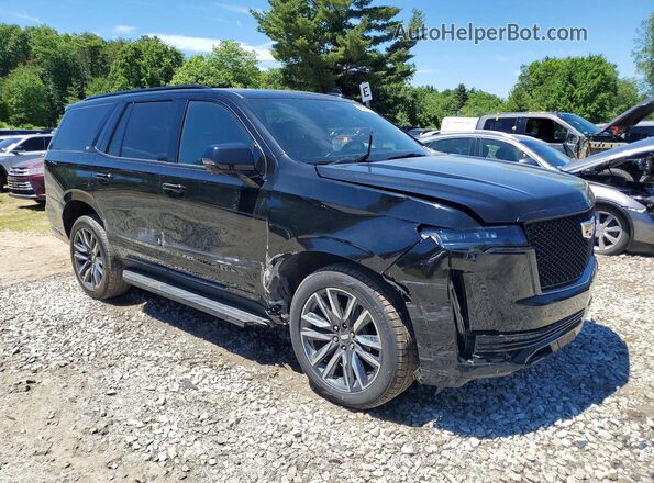 1GYS4EKL6PR447577 2023 CADILLAC ESCALADE Black Vista frontal