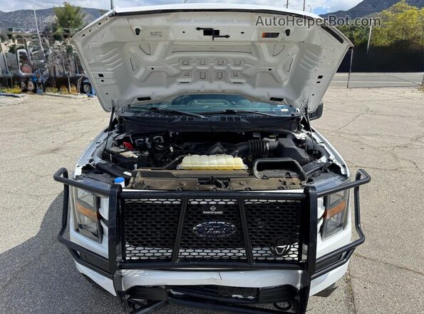 1FTFW1E5XPKE21354 2023 FORD F150 White Առջևի վահանակի տեսք