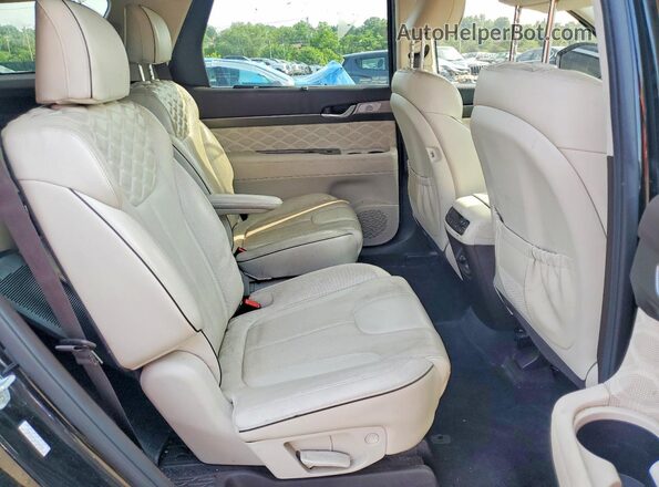 KM8R54HE3LU094593 2020 HYUNDAI PALISADE Черный 