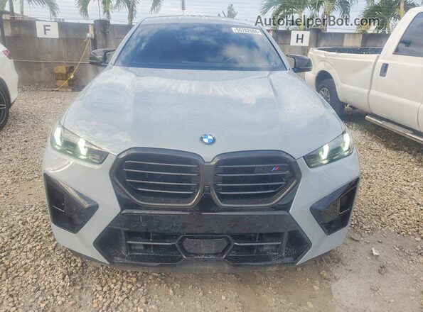 5YM23ET07S9X09846 2025 BMW X6 Gray Vista trasera