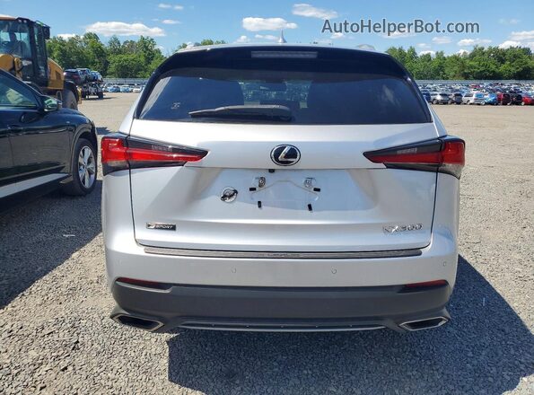 JTJBARBZ7K2189711 2019 LEXUS NX Silver Սալոնի դիմացի տեսք