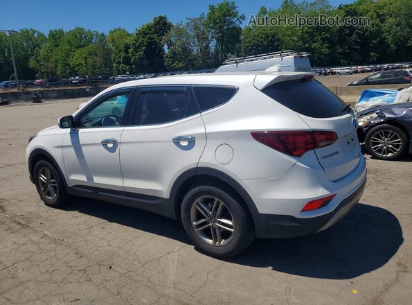 5XYZTDLB3HG382422 2017 HYUNDAI SANTA FE White Tył prawy