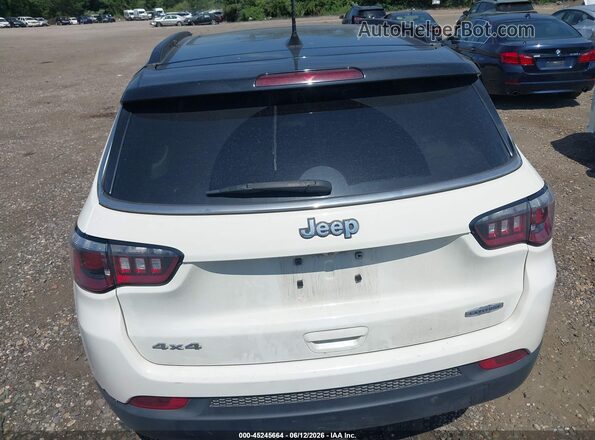 3C4NJDBB9KT653456 2019 JEEP COMPASS Silver 