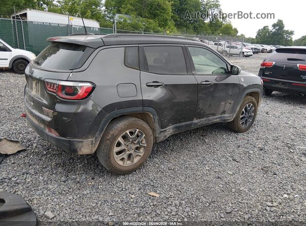 3C4NJDDB3LT223985 2020 JEEP COMPASS Pewter Задня права чверть