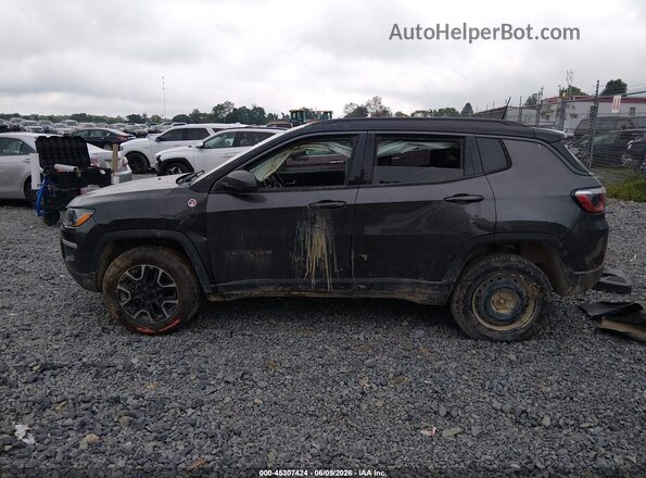 3C4NJDDB3LT223985 2020 JEEP COMPASS Pewter 