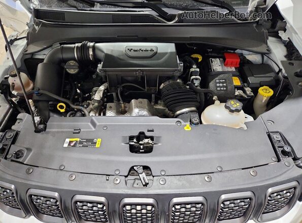 3C4NJDDN7RT608176 2024 JEEP COMPASS Белый 