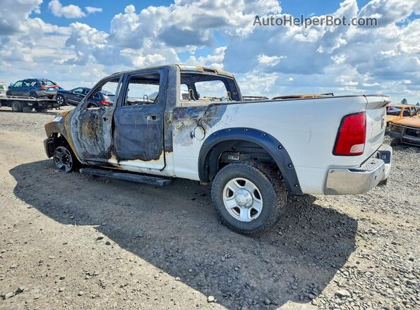 3C6UR5CL0GG166977 2016 RAM 2500 Белый Задняя левая четверть