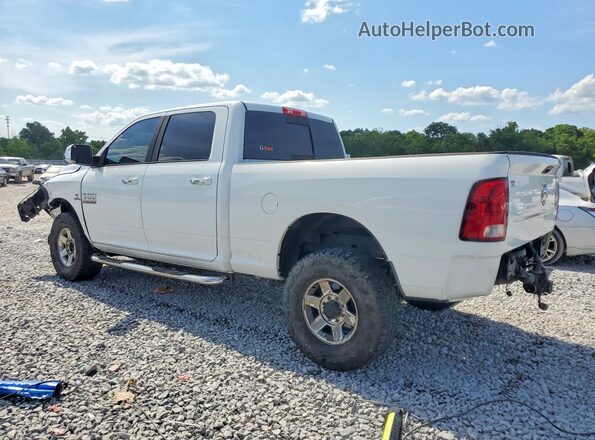 3C6UR5DL0GG256998 2016 RAM 2500 Белый Задняя левая четверть