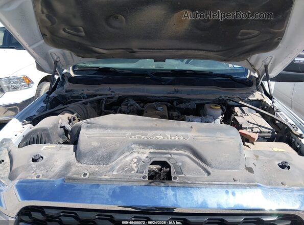 3C6UR5DLXRG153977 2024 RAM 2500 Белый Вид сзади