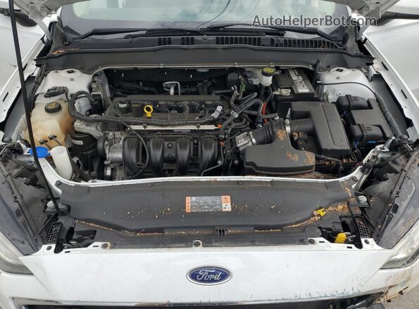 3FA6P0H78LR155638 2020 FORD FUSION Белый Вид задней части салона