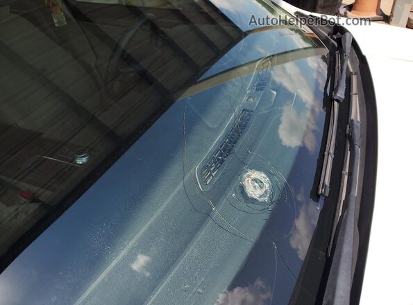 3FA6P0HD7LR225930 2020 FORD FUSION White VIN sticker view