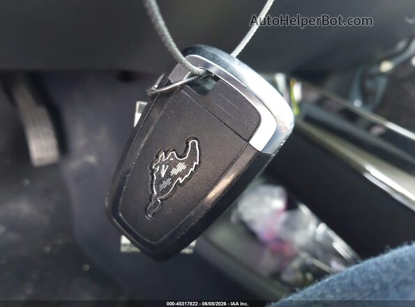 3FMTK3R4XRMA03136 2024 FORD MUSTANG MACH-E Blue Вид панелі приладів