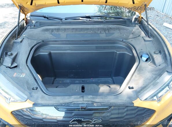 3FMTK4SX1MME03718 2021 FORD MUSTANG MACH-E Yellow Widok z tyłu