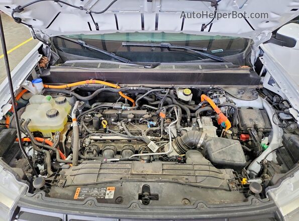 3FTTW8E38PRA28183 2023 FORD MAVERICK White უკანა სალონის ხედი