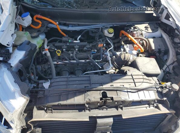 3FTTW8M30RRB46829 2024 FORD MAVERICK Белый Вид задней части салона