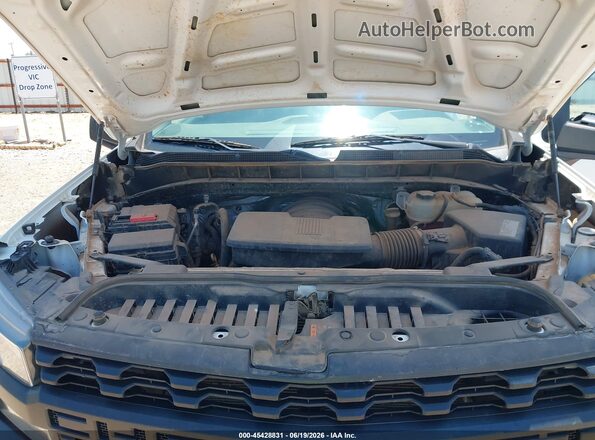 3GCNYAEF2KG213967 2019 CHEVROLET SILVERADO White Rear view