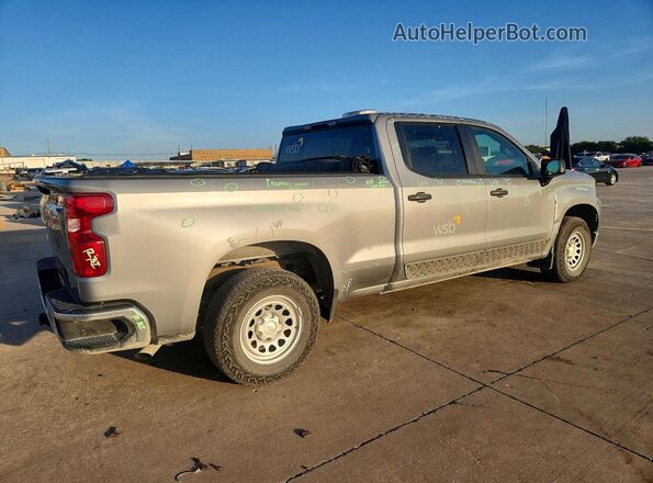 3GCPAAEKXSG347104 2025 CHEVROLET SILVERADO Gray Հետևի աջ