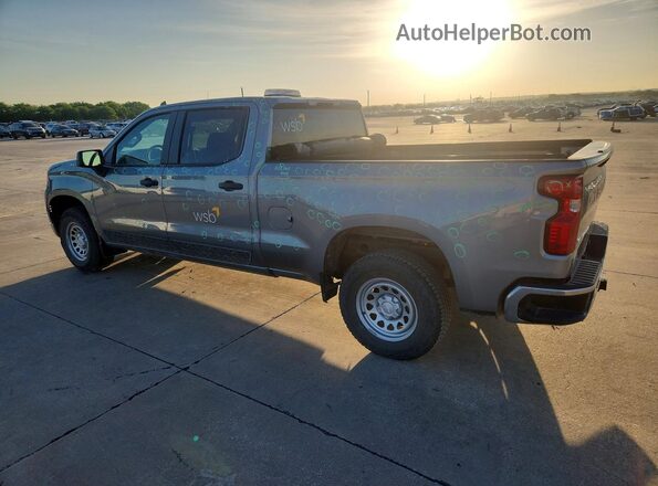 3GCPAAEKXSG347104 2025 CHEVROLET SILVERADO Gray Հետևի ձախ