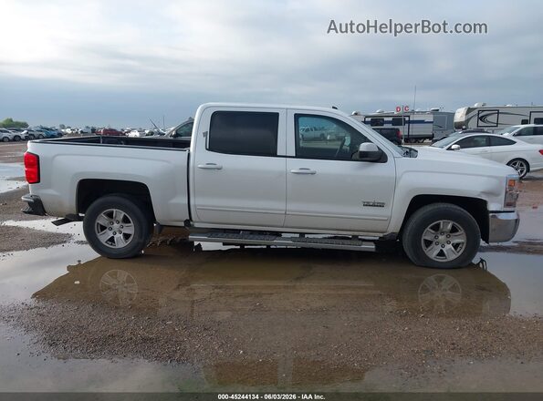 3GCPCREC3HG181163 2017 CHEVROLET SILVERADO White უკანა სალონის ხედი