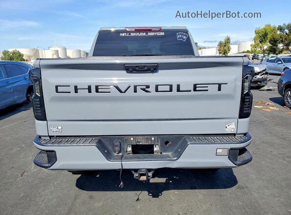 3GCPDBEK8RG402544 2024 CHEVROLET SILVERADO Gray 