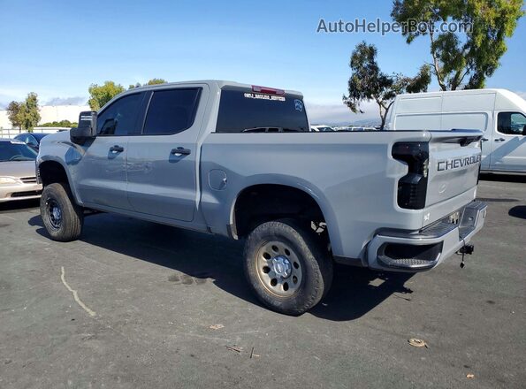 3GCPDBEK8RG402544 2024 CHEVROLET SILVERADO Gray 