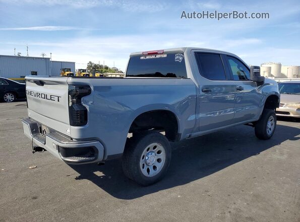 3GCPDBEK8RG402544 2024 CHEVROLET SILVERADO Gray 