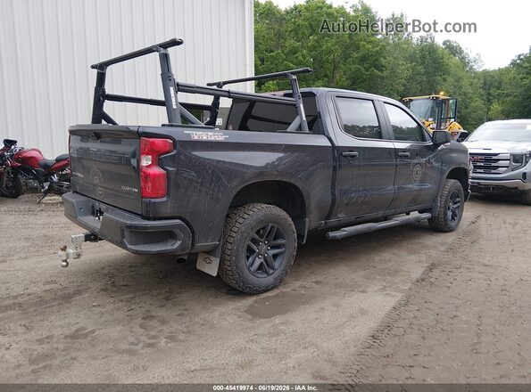 3GCPDCEK8RG182263 2024 CHEVROLET SILVERADO Dark Blue უკანა მარჯვენა