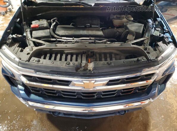 3GCPDDEK0RG226195 2024 CHEVROLET SILVERADO Синий Вид задней части салона