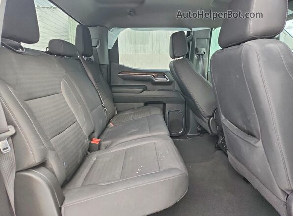 3GCPDKEK5RG214242 2024 CHEVROLET SILVERADO White Rear seats view