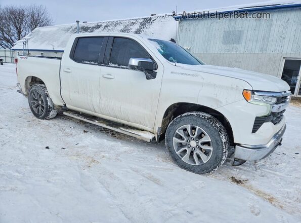 3GCPDKEK5RG214242 2024 CHEVROLET SILVERADO White Front right