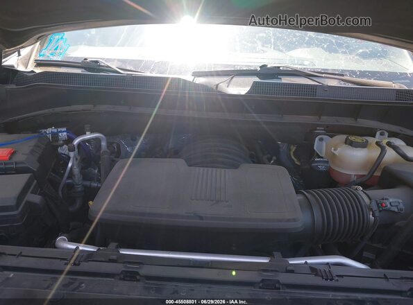 3GCPWDED4LG241754 2020 CHEVROLET SILVERADO Серый Вид сзади