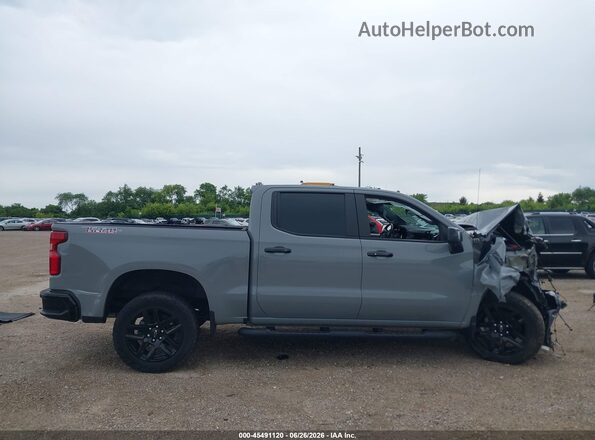 3GCUDFE87RG216847 2024 CHEVROLET SILVERADO Gray სალონის 360-გრადუსიანი ხედი