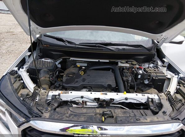 3GKALMEG1RL357295 2024 GMC TERRAIN Белый Вид сзади