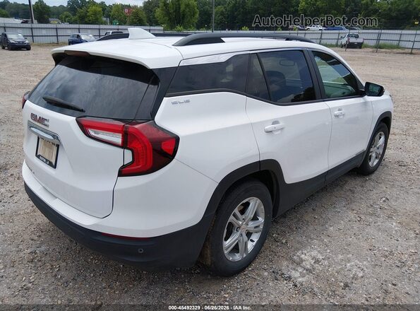 3GKALMEG1RL357295 2024 GMC TERRAIN Белый Задняя правая четверть