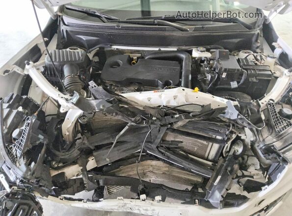 3GKALMEG2RL368001 2024 GMC TERRAIN White 