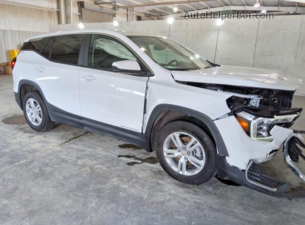 3GKALMEG2RL368001 2024 GMC TERRAIN White 
