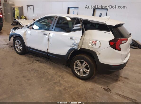 3GKALMEG3RL222271 2024 GMC TERRAIN White Задня ліва чверть