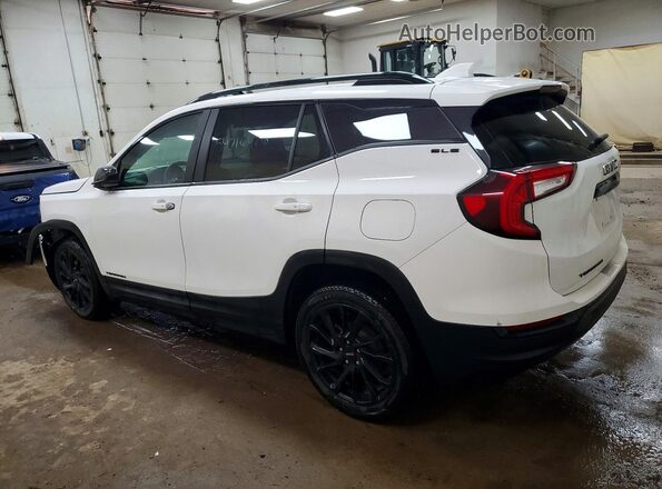 3GKALMEG4PL118028 2023 GMC TERRAIN White Trasero izquierdo